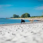 Im Ostseeresort Dampland In Perfekter Lage Semesterbostad