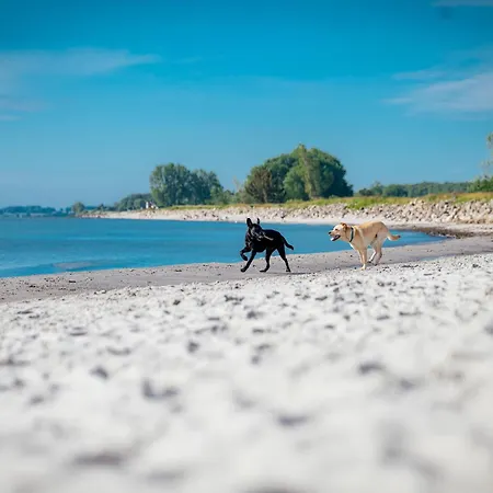 Im Ostseeresort Dampland In Perfekter Lage Prázdninový dům