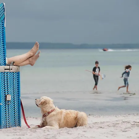 Prázdninový dům Im Ostseeresort Dampland In Perfekter Lage Damp