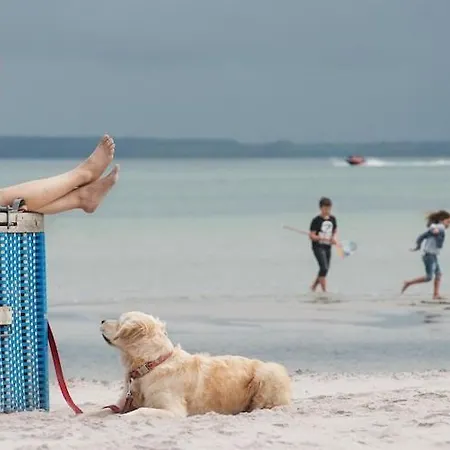 Prázdninový dům Im Ostseeresort Dampland In Perfekter Lage